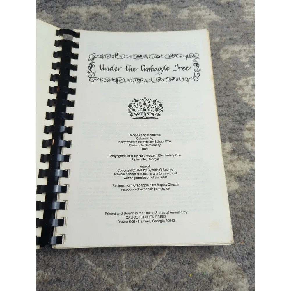 Northwestern Elementary Alpharetta, GA Cookbook Vtg‎ 1991 Crabapple Community